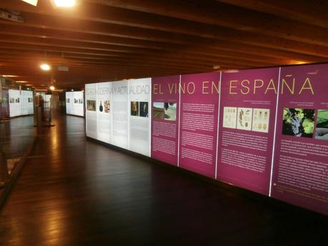 Museo Provincial del Vino de Peñafiel (Valladolid)