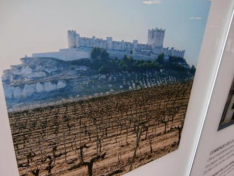 Museo Provincial del Vino de Peñafiel (Valladolid)