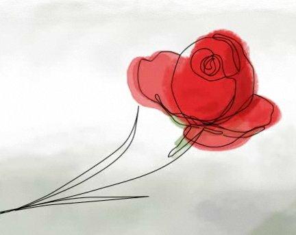 Sant Jordi 2014: Firmas