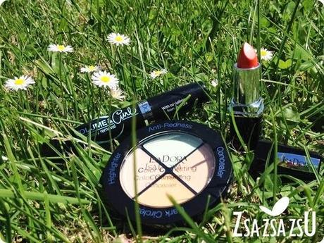 isadorapv1404logo isadorapv1404logo