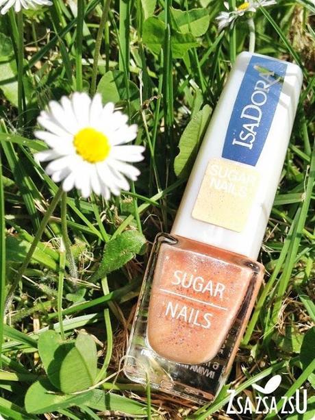 isadorapv1406logo isadorapv1406logo