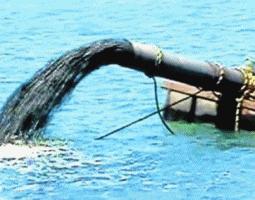 En la tierra de humanos y colibríes.