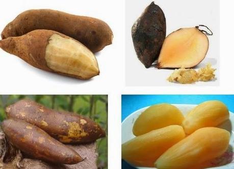 EL YACON BENEFICIOS Y USOS