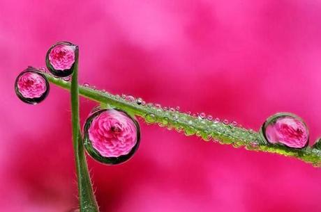 Parte su tiempo abril entre llorar y reír !!