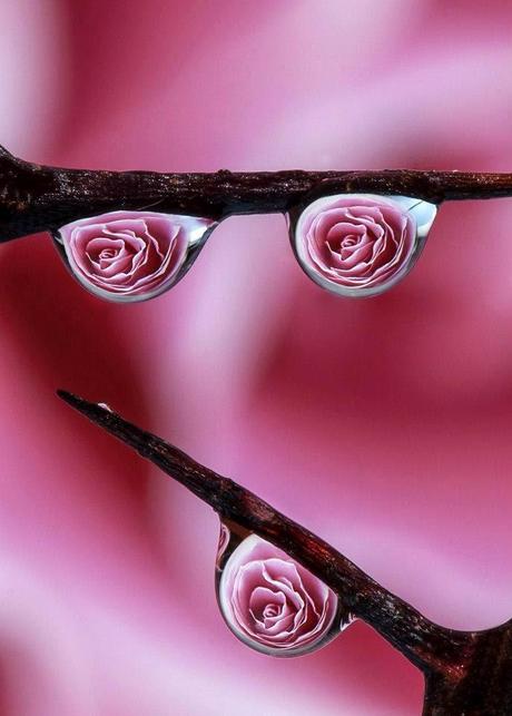 Parte su tiempo abril entre llorar y reír !!