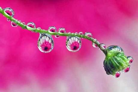 Parte su tiempo abril entre llorar y reír !!
