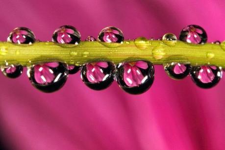 Parte su tiempo abril entre llorar y reír !!