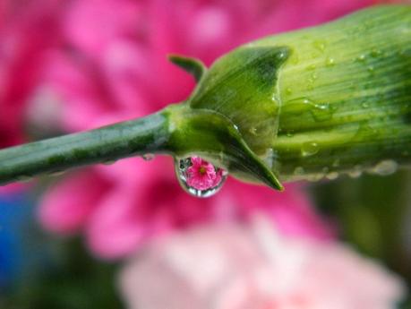 Parte su tiempo abril entre llorar y reír !!