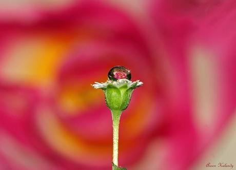 Parte su tiempo abril entre llorar y reír !!