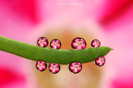 Parte su tiempo abril entre llorar y reír !!