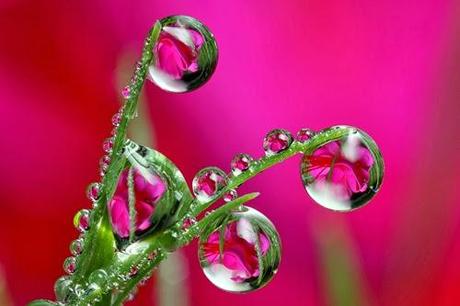 Parte su tiempo abril entre llorar y reír !!