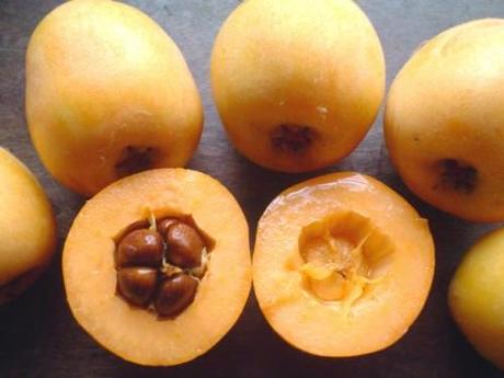 11 cosas que tal vez no sabías sobre Gabriel García Márquez