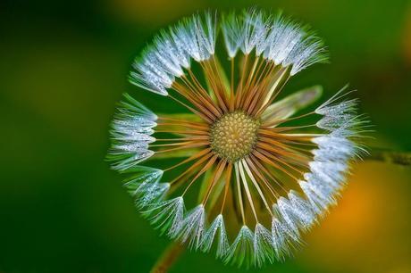Qué buscar detrás de un producto o servicio