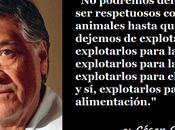 Algo debe cambiar para todo siga igual