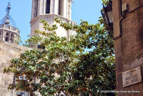 PASEO POR CIUTAT VELLA (II). LOS CÓDIGOS QR LLEGAN AL CALL