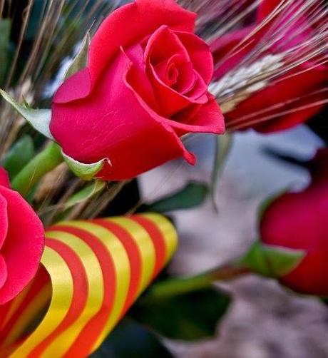 FELIZ SAN JORDI!!!!