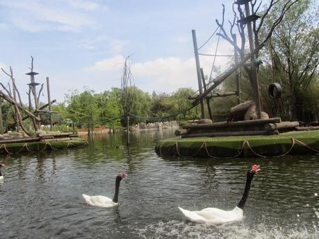 Lago Principal de Faunia, dónde podrás relajarte y disfrutar de la naturaleza.