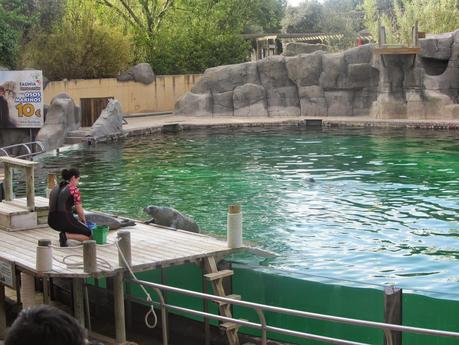 Teatro del Lago, dónde podrás disfrutar de exhibiciones de focas, osos y leones marinos.