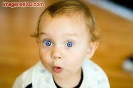 La mejor receta de carne es...