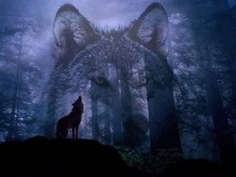 7 libros sobre Ecología y Mediambiente que tú y tus hijos deberíais leer gracias a sus instintos primigenios es capaz de adaptarse y sobrevivir a un medio adverso