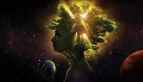 7 libros sobre Ecología y Mediambiente que tú y tus hijos deberíais leer En este libro el autor no solo nos advierte del problema, sino que nos plantea soluciones para evitarlo