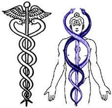 kudalini La Más Poderosa de las Energías Psíquicas : Kundalini 