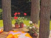 Decks Rusticos