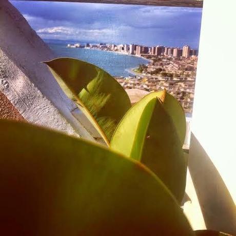 Insta Sdiosas 19 Insta Sdiosas 19