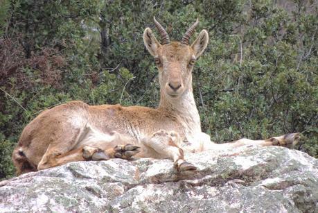 Los montes mediterráneos del suroeste de Albacete y su naturaleza: Sierra del Relumbrar, Ojos de Villaverde y Estrecho del Hocino