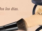 “Perfect Match Stay” polvos minerales compactos (From Asia With Love)