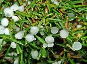 Macro día, granizo