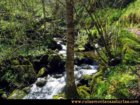 Ruta al Campigüeños y Carasca: Río Orlé y camino a Conforcos