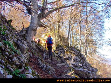 Ruta al Campigüeños y Carasca: Caminando por el bosque Porupintu