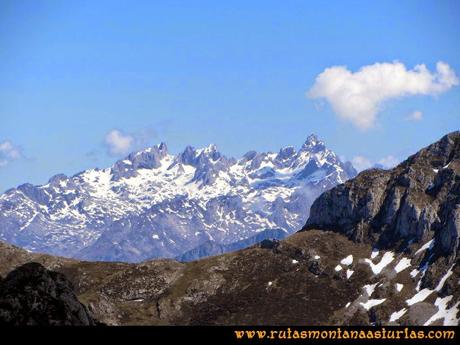 Ruta al Campigüeños y Carasca: Desde la Carasca, vista del Macizo Occidental de Picos de Europa