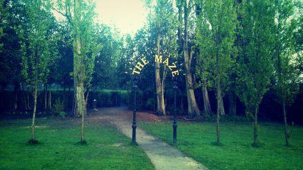 Descubriendo Crystal Palace Park crystal palace Park