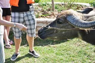Crucero por los ríos Li y Yulong