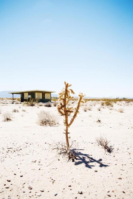 Road_trip-route_66-California-travels-Guide-Collage_Vintage-Mango_Outfit-2