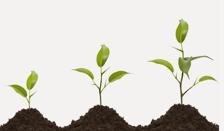 El blog no cambia...CRECE !