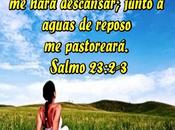 Salmos