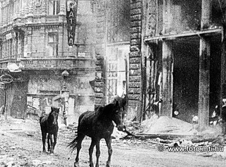 El sitio de Budapest