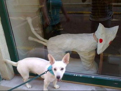 Humor en la política húngara