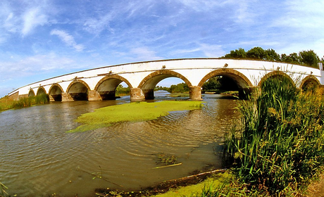La gran llanura húngara: Alföld