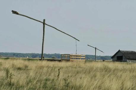 La gran llanura húngara: Alföld