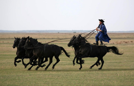 La gran llanura húngara: Alföld