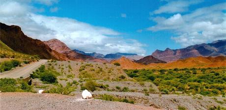 Paisajes naturales de la provincia de Salta.