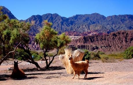 Paisajes naturales de la provincia de Salta.