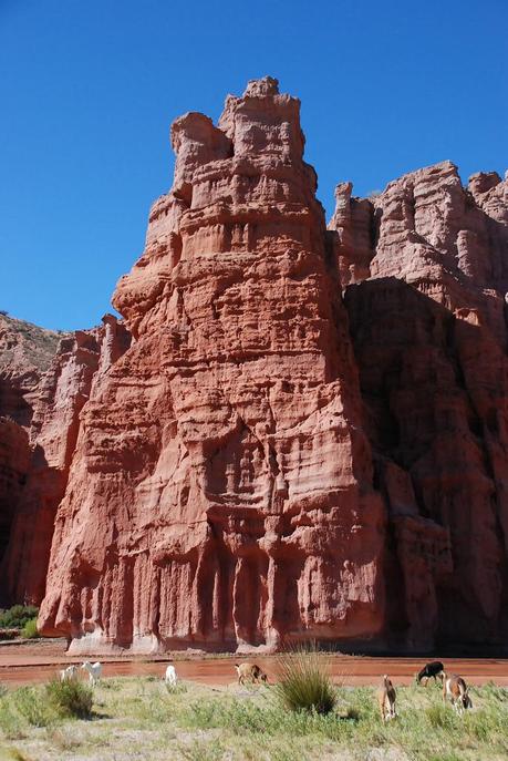 Paisajes naturales de la provincia de Salta.