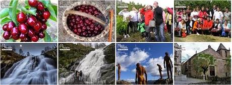 Excursión al Valle del Jerte. Cerecera 2014