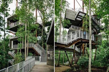 Tree house in the Dense forest