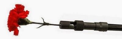 40 años de la Revolución de los Claveles. 40 años de Grandola Vila Morena